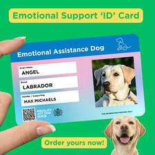 Support assistance dog for sale  SWANSEA