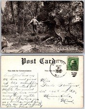 Exaggeration hunter facing for sale  Mansfield