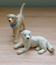 Toy labrador golden for sale  NOTTINGHAM