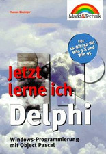 Lerne delphi windows gebraucht kaufen  Berlin