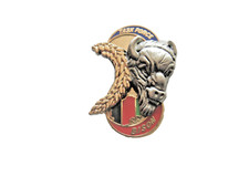 Rare ancien pins d'occasion  Saint-Mamert-du-Gard