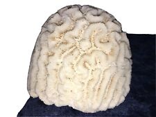 Aquarium decoration natural for sale  CREDITON