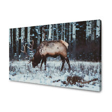 Canvas leinwandbilder xxl gebraucht kaufen  Großröhrsdorf
