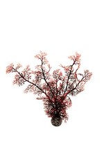 Corail corné rouge d'occasion  Lyon I