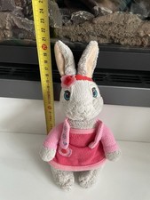 Peter rabbit lily for sale  BURNTWOOD