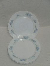 Vintage arcopal arc for sale  West Columbia