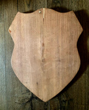 Taxidermy wood mount for sale  Buffalo