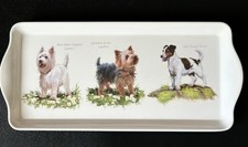 Terrier dogs westie for sale  UK