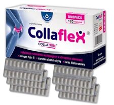 🦴 Collaflex Duopack 120 Kapseln  Kollagen Gelenke Sehnen Knochen Chondroitin 💪 comprar usado  Enviando para Brazil
