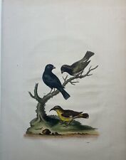 George edwards original for sale  Schwenksville