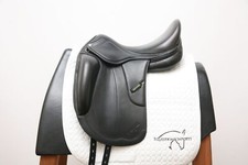 Used amerigo vega for sale  Sarasota