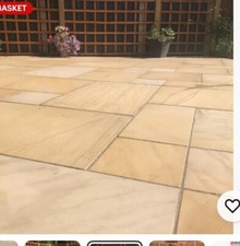 Paving fossil mint for sale  NEWPORT