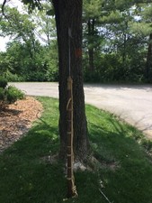 Vintage foot long for sale  Union