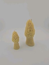 Pure beeswax morel for sale  Grove City