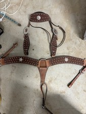 Miniature pony breast for sale  Norco