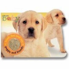 Puppy friends english for sale  Philadelphia