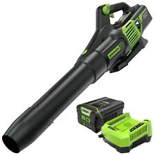 Greenworks pro 80v for sale  Morganton