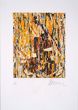 Arman fernandez serigrafia usato  Codogno