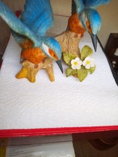 Kingfishers for sale  SETTLE