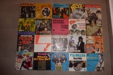 141 vinyl singles gebraucht kaufen  Lohmar