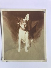 Vintage chien sepia d'occasion  Expédié en Belgium