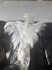 White ostrich feathers for sale  BRISTOL