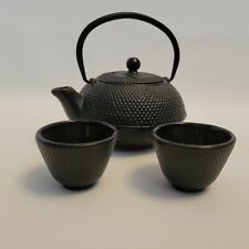 Bouilloire théière japonaise usato  Spedire a Italy