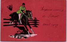 Sport equitation saut d'occasion  France