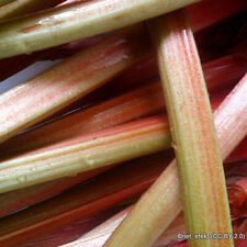 Rhubarb victoria crown for sale  KIDLINGTON