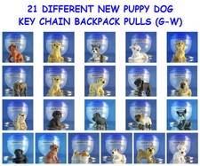 Different puppy dog for sale  Saint Paul