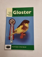 Gloster fancy canary for sale  KING'S LYNN