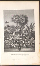 1866 gravure originale d'occasion  Besançon