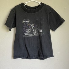 Vintage harley davidson for sale  Chetek