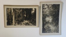 1909 mount hermon for sale  Pollock Pines
