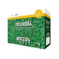 Dichondra repens semi usato  Roma