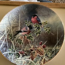 Bullfinches coalport bird for sale  FOCHABERS