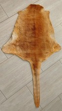 Kängurufell känguruleder aus gebraucht kaufen  Aalen