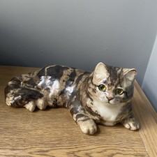 Winstanley tabby cat for sale  SHEERNESS