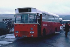 Colour southdown leyland for sale  TAUNTON