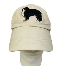 Khaki bernese mountain for sale  Washington