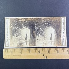 Bernese highlands tunnel for sale  Niagara Falls