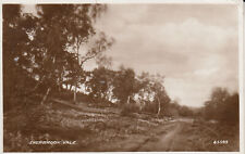 Cannock chase sherbrook for sale  BRIDPORT
