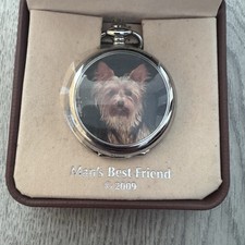 Ravel jack russell for sale  CREWE