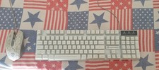 Tastiera gaming meccanica usato  Carapelle