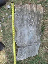 petrified wood log for sale  Oakhurst