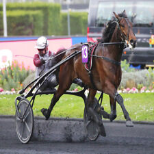 Méthode turf tempo d'occasion Méthode turf tempo d'occasion  France