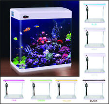 Small aquarium fish for sale  LLANDEILO