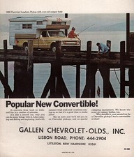 1969 chevy c20 for sale  Boise