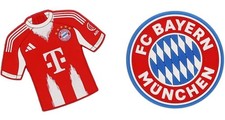 Bayern münchen magnet gebraucht kaufen  Norderstedt