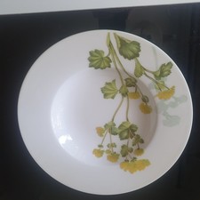 Suppenteller villeroy boch gebraucht kaufen Suppenteller villeroy boch gebraucht kaufen  Duisburg